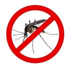 Prohibidos los mosquitos - Imagen de ecocosas.com